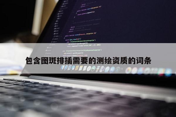 包含圖斑排插需要的測繪資質的詞條