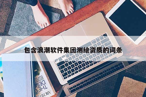 包含浪潮軟件集團測繪資質(zhì)的詞條